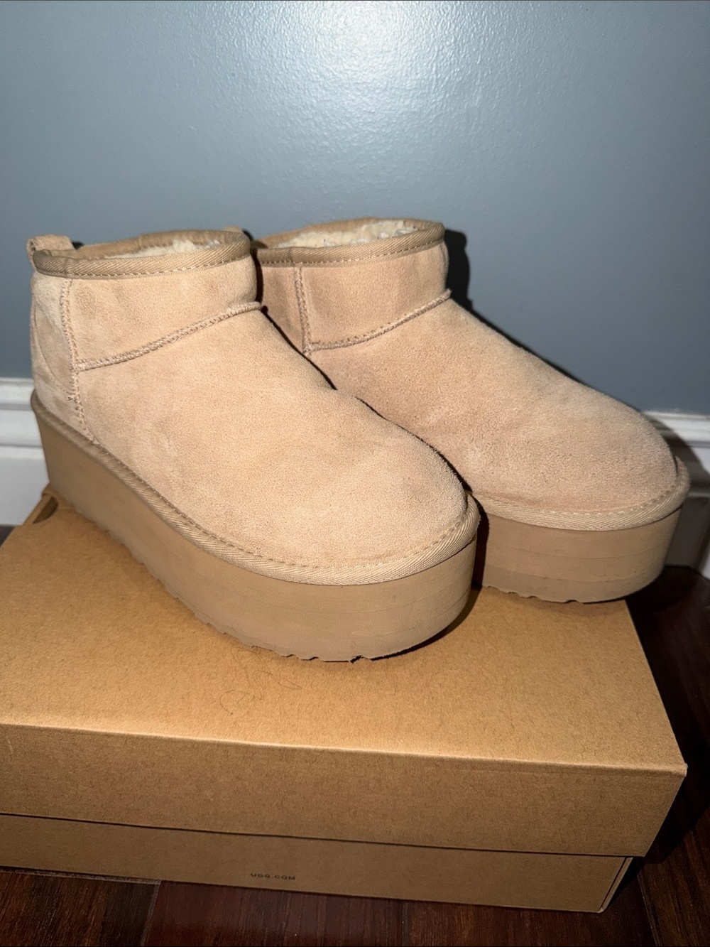 Ugg Ultra Mini Platforms